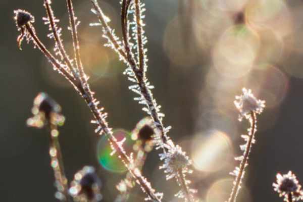 February / March Newsletter